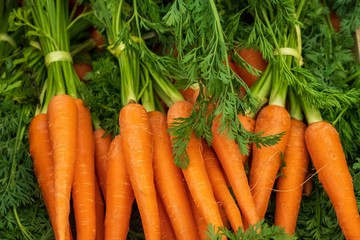Comidas rápidas y nutritivas